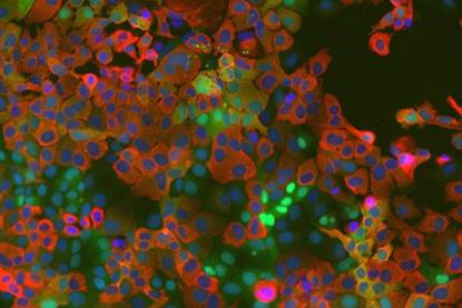 Low-Res_814098cd-5cbf-45ab-ba0b-371f2f94a5a6