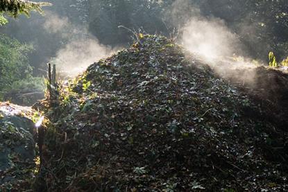 Compost_Heap