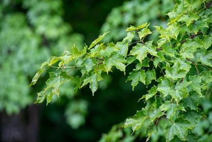 Low-Res_UNDERC_06.22_Exterior and Misc-11_resize