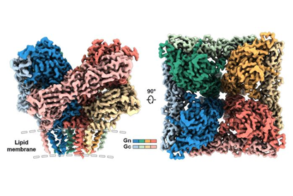 Low-Res_fig2b_2400x1600