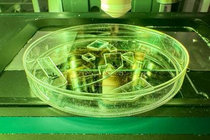 Low-Res_26055-Antiviral Spikes-FINAL-Web-1