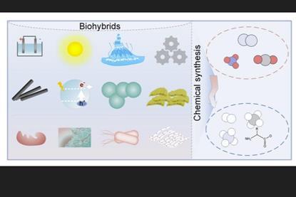 Biohybrids