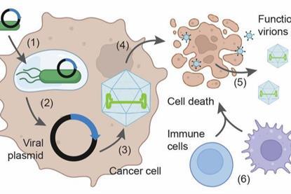 Low-Res_virus Figure 1A