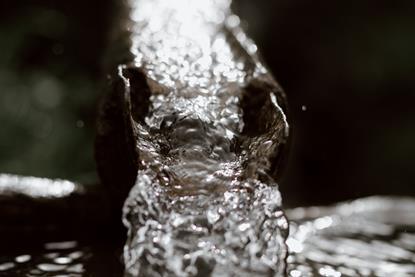 pexels-eberhardgross-4406593