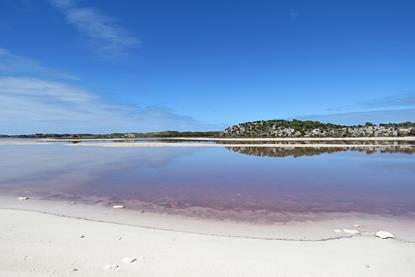 Pearse_Lakes_seen_from_Digby_Drive,_Rottnest_Island,_April_2026_08