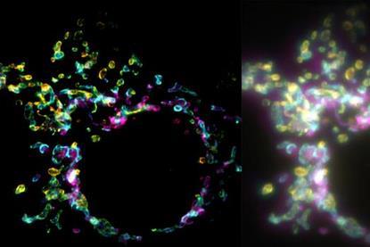 Low-Res_Diptych