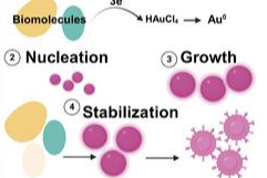 Low-Res_Fig. 1_Suzuki_ACS Sustainable Chemistry & Engineering