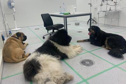 Low-Res_030326PetAirEmissions_large