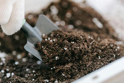 pexels-sasha-kim-9413735