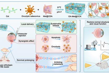 1-s2.0-S2211383525006343-ga1_lrg