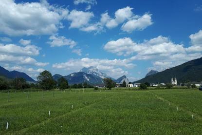 Low-Res_Admont_Versuchsflaeche1