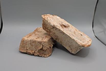 Low-Res_fungus bricks NASA STTR (1)