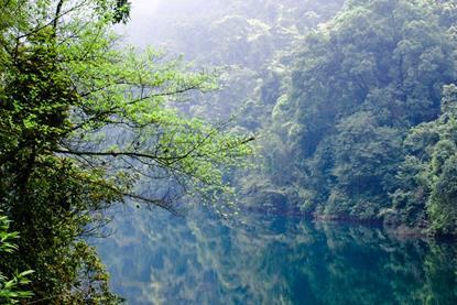 肇庆鼎湖山_-_panoramio_(8)