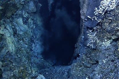 Hydrothermal_vent,_Mid-Cayman_Rise_(Expl6955_9664075828)