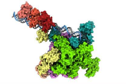 Low-Res_IRBBarcelona_Coll_Cholera