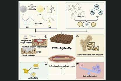 Screenshot 2026-03-05 091856