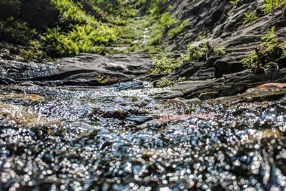 pexels-ajaybhargavguduru-977517