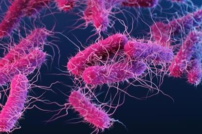 Low-Res_DFE-Ecoli-Kinds-2019-Pathogen-Illustration