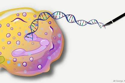 Low-Res_IMSTO_27_6_IMSTO_27_5_IMSTO_27_4_Image