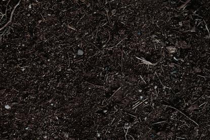 pexels-araf-29555030