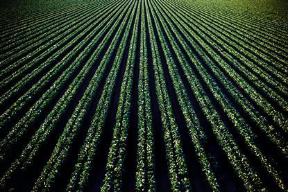 pexels-timmossholder-974316