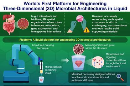 Low-Res_TKTEC_735_5_182713405_0fb745bf-6e81-44fe-ba27-1377f9a22e12__infographic_13_jul_2026__1_ (1)