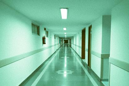 pexels-jorrynmorais-11288795