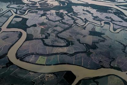 pexels-kopi-hitam-mantap-1169537852-32035652