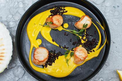 pexels-roman-odintsov-4871170