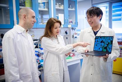 Low-Res_2 - L-R_Assoc Prof Thibault, Prof Kline and Dr Aaron Tan