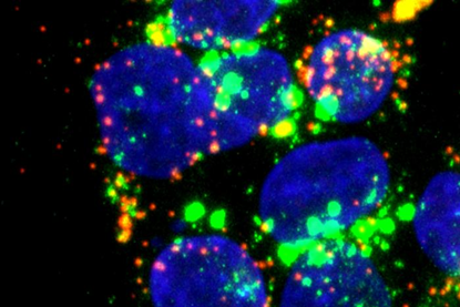 Low-Res_979afd12-c2fb-4c8c-a5d4-3064c376f362