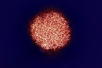 HepatitisC