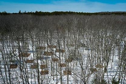 Low-Res_HarvardForest