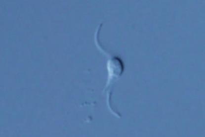 Low-Res_p20250424140000