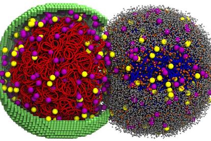 Low-Res_cr-half-half_ribopart_dnabd-ptns-rnas-m