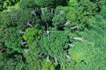 Low-Res_photo credit Shomari Healy - DJI_0003
