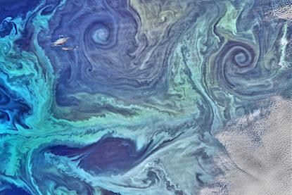 NASA_satellite_view_of_Southern_Ocean_phytoplankton_bloom_(crop)