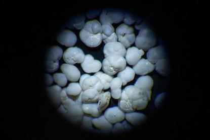low-res (82)