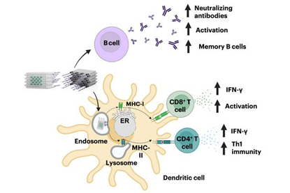 Low-Res_DoriVac PR Graphic