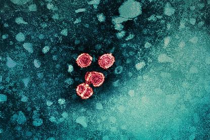 Hepatitis_B_Virus_(52444068579)