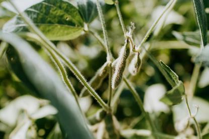 kelly-sikkema-bSdOcb6ptck-unsplash