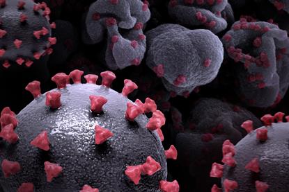 SARS-CoV-2_Virus
