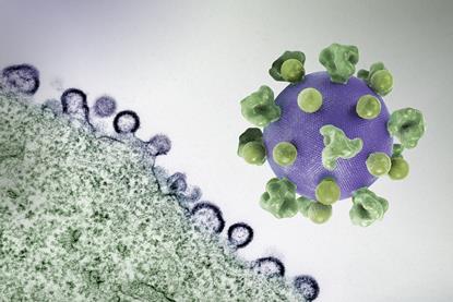 HIV_Virus_-_2