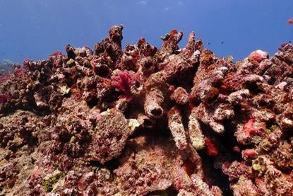 Low-Res_cr-edmunds-pete-004-m