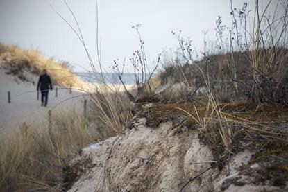 Algae_Baltic Sea