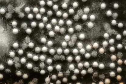Polioviruses
