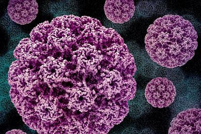 Human_Papillomavirus_(HPV)