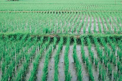 pexels-orlovamaria-4913526