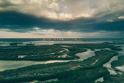 pexels-joshsorenson-378272