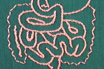 Low-Res_Gut_Hey Paul Studios_Flicker_CCBY2.0